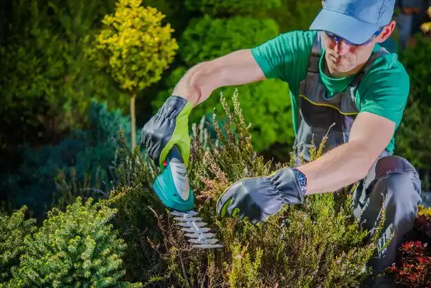 landscaping services Bexley